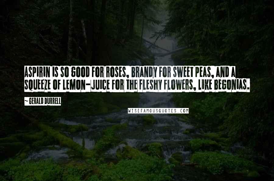 Gerald Durrell Quotes: Aspirin is so good for roses, brandy for sweet peas, and a squeeze of lemon-juice for the fleshy flowers, like begonias.