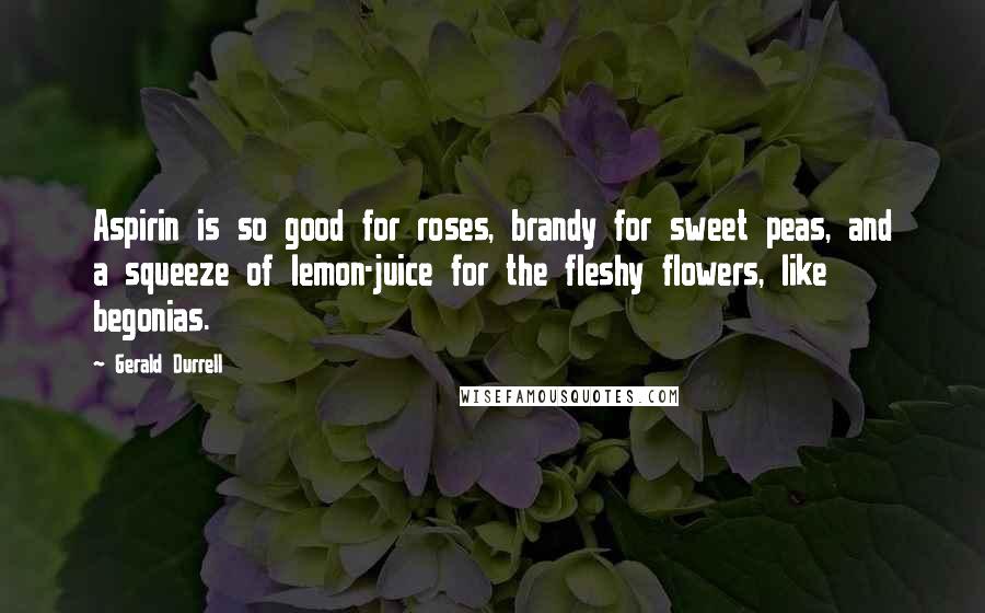 Gerald Durrell Quotes: Aspirin is so good for roses, brandy for sweet peas, and a squeeze of lemon-juice for the fleshy flowers, like begonias.