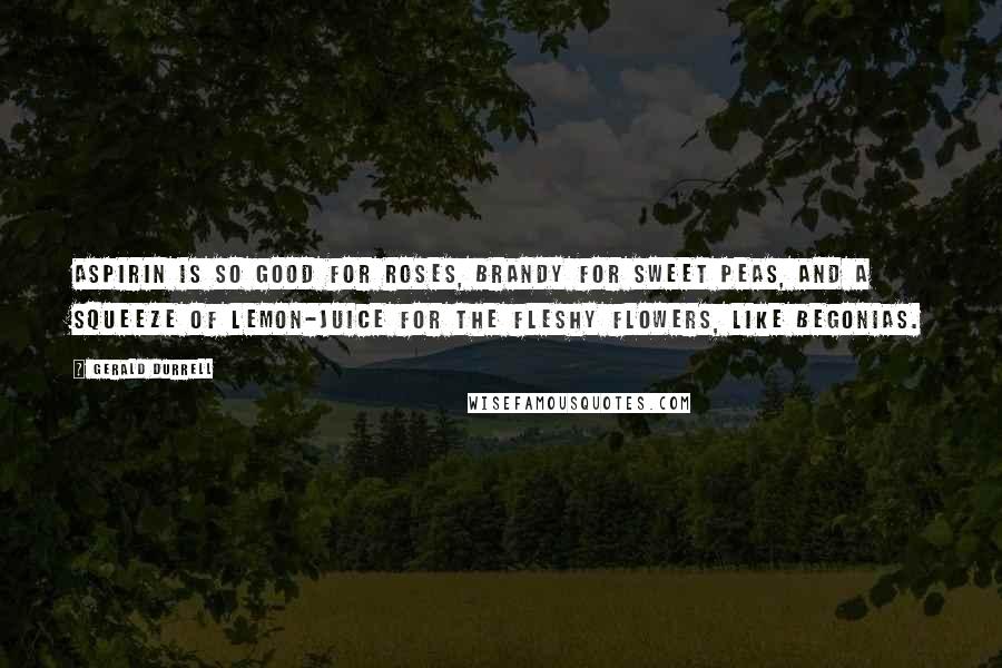Gerald Durrell Quotes: Aspirin is so good for roses, brandy for sweet peas, and a squeeze of lemon-juice for the fleshy flowers, like begonias.