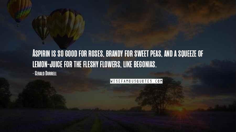 Gerald Durrell Quotes: Aspirin is so good for roses, brandy for sweet peas, and a squeeze of lemon-juice for the fleshy flowers, like begonias.