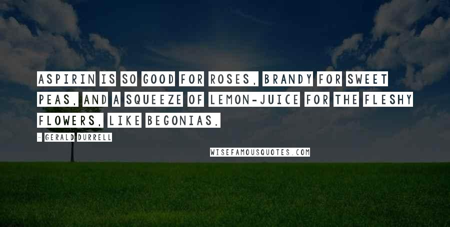 Gerald Durrell Quotes: Aspirin is so good for roses, brandy for sweet peas, and a squeeze of lemon-juice for the fleshy flowers, like begonias.