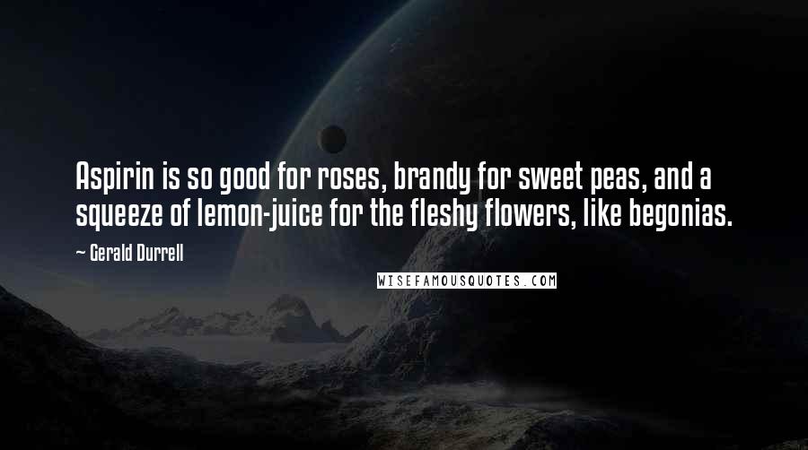 Gerald Durrell Quotes: Aspirin is so good for roses, brandy for sweet peas, and a squeeze of lemon-juice for the fleshy flowers, like begonias.