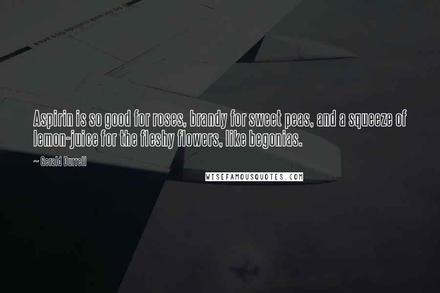 Gerald Durrell Quotes: Aspirin is so good for roses, brandy for sweet peas, and a squeeze of lemon-juice for the fleshy flowers, like begonias.