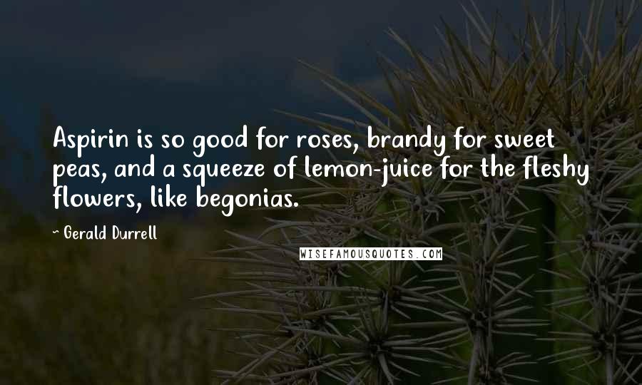 Gerald Durrell Quotes: Aspirin is so good for roses, brandy for sweet peas, and a squeeze of lemon-juice for the fleshy flowers, like begonias.