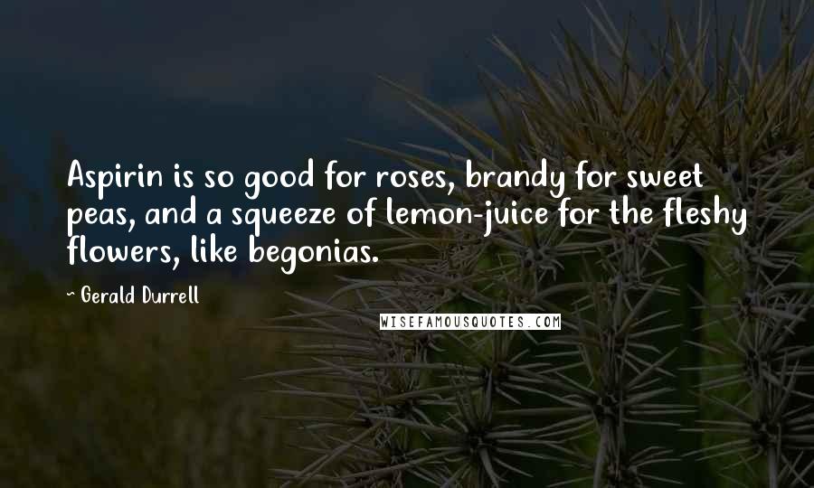 Gerald Durrell Quotes: Aspirin is so good for roses, brandy for sweet peas, and a squeeze of lemon-juice for the fleshy flowers, like begonias.