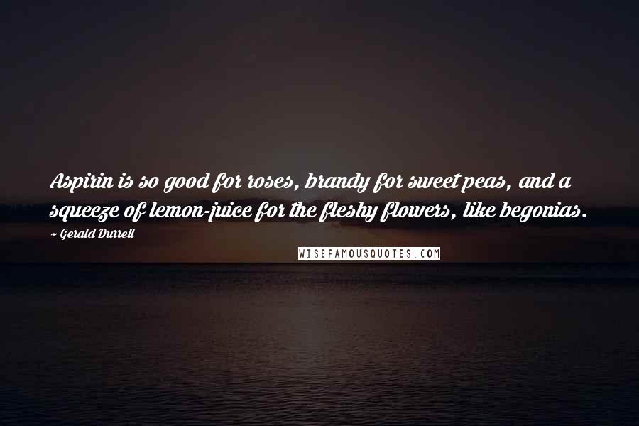 Gerald Durrell Quotes: Aspirin is so good for roses, brandy for sweet peas, and a squeeze of lemon-juice for the fleshy flowers, like begonias.