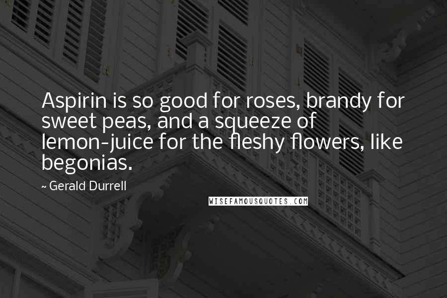 Gerald Durrell Quotes: Aspirin is so good for roses, brandy for sweet peas, and a squeeze of lemon-juice for the fleshy flowers, like begonias.