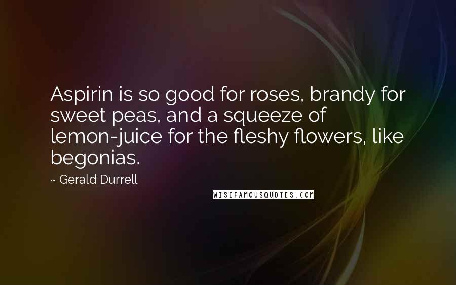 Gerald Durrell Quotes: Aspirin is so good for roses, brandy for sweet peas, and a squeeze of lemon-juice for the fleshy flowers, like begonias.