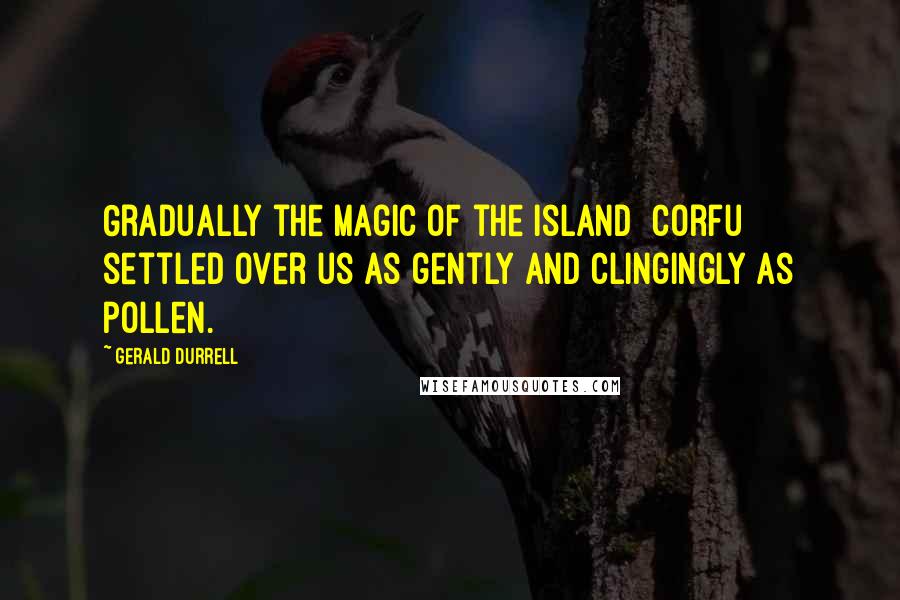 Gerald Durrell Quotes: Gradually the magic of the island [Corfu] settled over us as gently and clingingly as pollen.