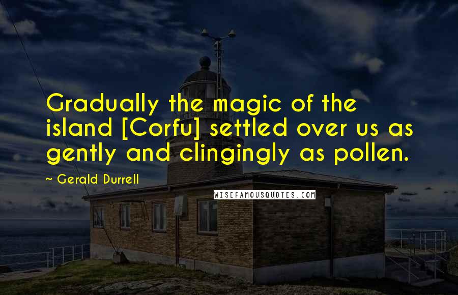 Gerald Durrell Quotes: Gradually the magic of the island [Corfu] settled over us as gently and clingingly as pollen.