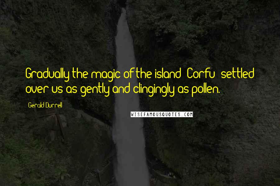 Gerald Durrell Quotes: Gradually the magic of the island [Corfu] settled over us as gently and clingingly as pollen.