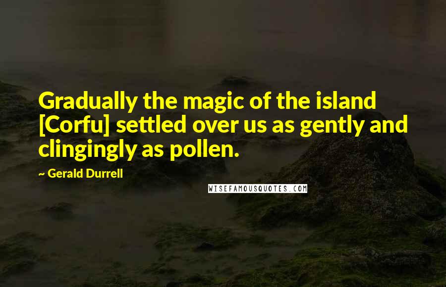 Gerald Durrell Quotes: Gradually the magic of the island [Corfu] settled over us as gently and clingingly as pollen.