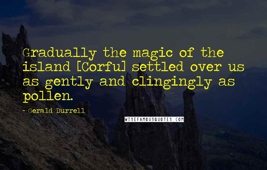 Gerald Durrell Quotes: Gradually the magic of the island [Corfu] settled over us as gently and clingingly as pollen.