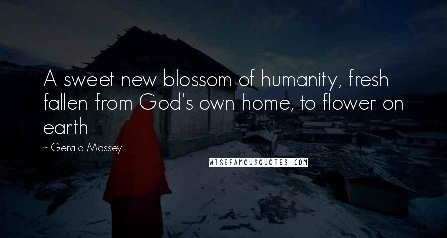 Gerald Massey Quotes: A sweet new blossom of humanity, fresh fallen from God's own home, to flower on earth