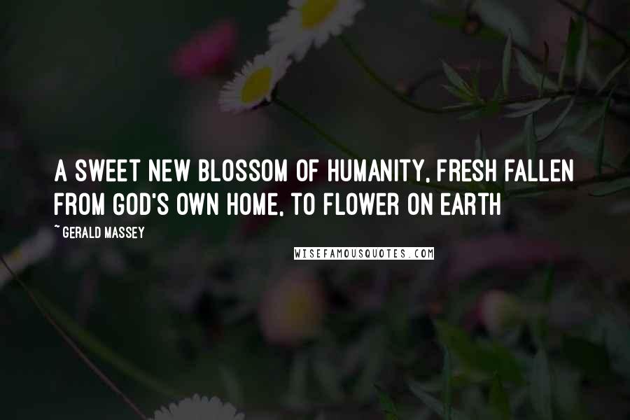 Gerald Massey Quotes: A sweet new blossom of humanity, fresh fallen from God's own home, to flower on earth