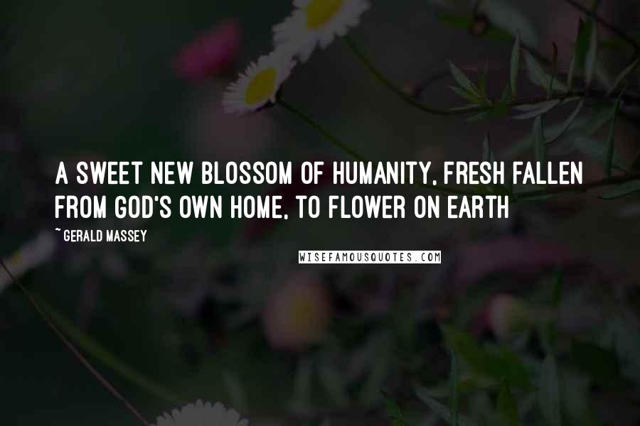 Gerald Massey Quotes: A sweet new blossom of humanity, fresh fallen from God's own home, to flower on earth