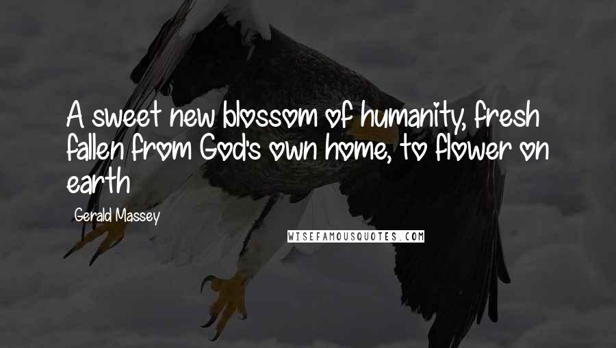 Gerald Massey Quotes: A sweet new blossom of humanity, fresh fallen from God's own home, to flower on earth