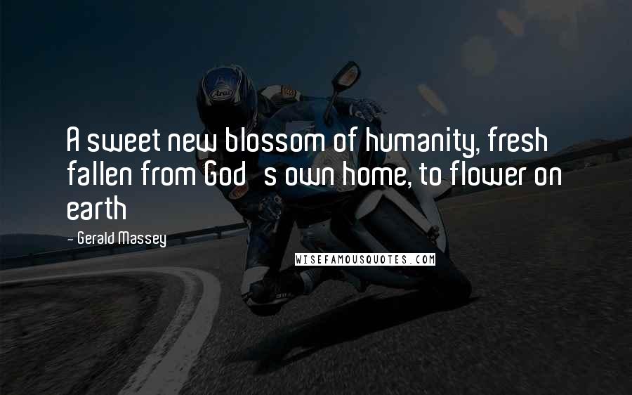 Gerald Massey Quotes: A sweet new blossom of humanity, fresh fallen from God's own home, to flower on earth