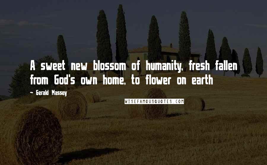 Gerald Massey Quotes: A sweet new blossom of humanity, fresh fallen from God's own home, to flower on earth