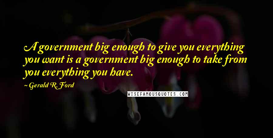 Gerald R. Ford Quotes: A government big enough to give you everything you want is a government big enough to take from you everything you have.