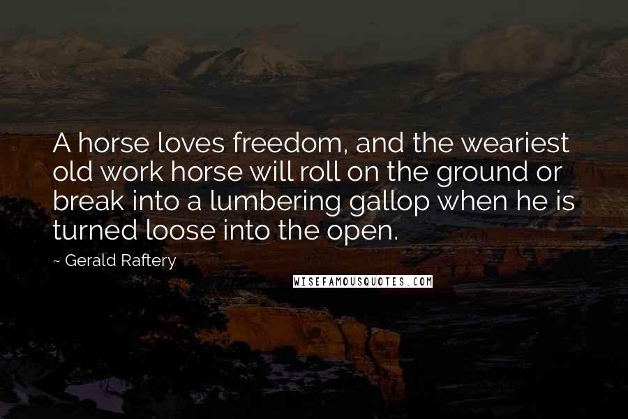 Gerald Raftery Quotes: A horse loves freedom, and the weariest old work horse will roll on the ground or break into a lumbering gallop when he is turned loose into the open.