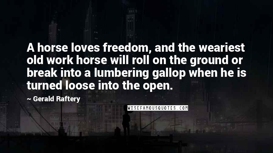 Gerald Raftery Quotes: A horse loves freedom, and the weariest old work horse will roll on the ground or break into a lumbering gallop when he is turned loose into the open.