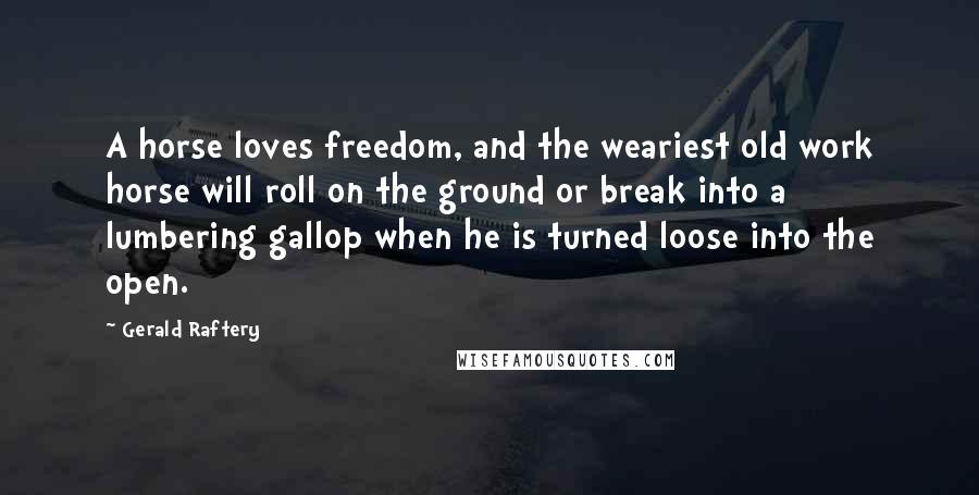 Gerald Raftery Quotes: A horse loves freedom, and the weariest old work horse will roll on the ground or break into a lumbering gallop when he is turned loose into the open.