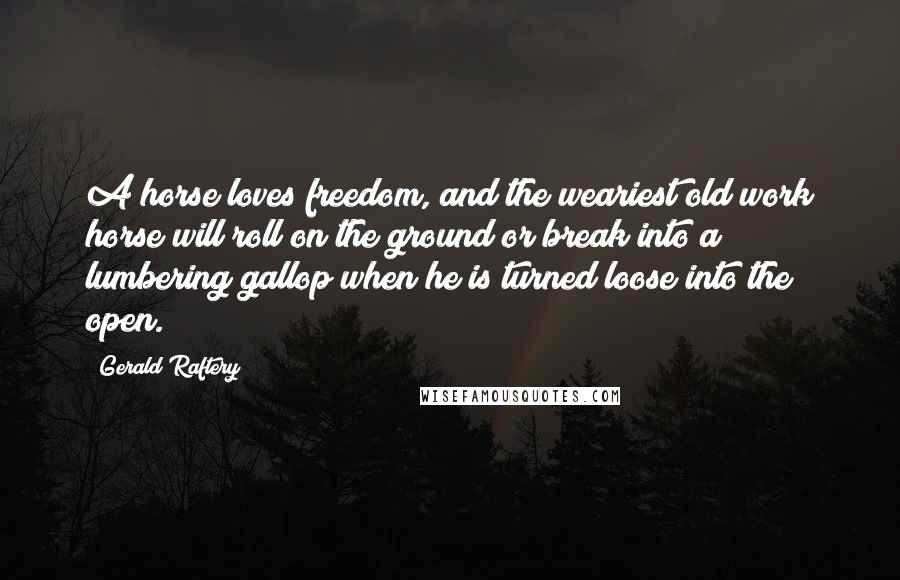 Gerald Raftery Quotes: A horse loves freedom, and the weariest old work horse will roll on the ground or break into a lumbering gallop when he is turned loose into the open.