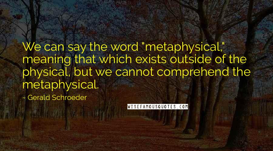 Gerald Schroeder Quotes: We can say the word "metaphysical," meaning that which exists outside of the physical, but we cannot comprehend the metaphysical.