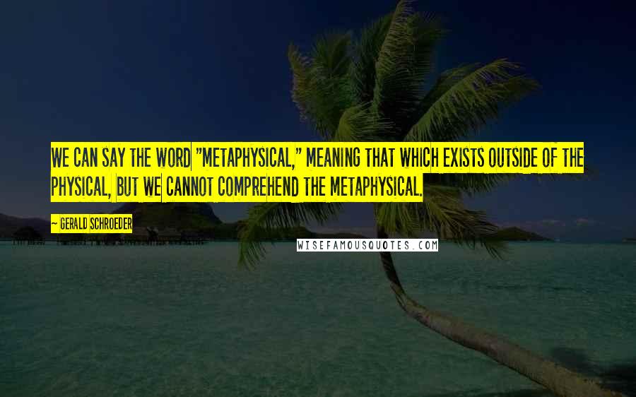 Gerald Schroeder Quotes: We can say the word "metaphysical," meaning that which exists outside of the physical, but we cannot comprehend the metaphysical.