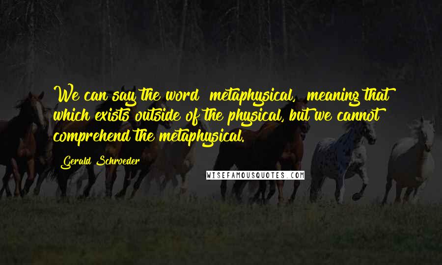 Gerald Schroeder Quotes: We can say the word "metaphysical," meaning that which exists outside of the physical, but we cannot comprehend the metaphysical.