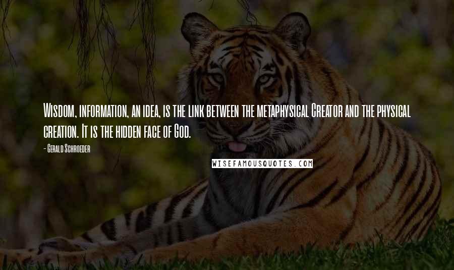 Gerald Schroeder Quotes: Wisdom, information, an idea, is the link between the metaphysical Creator and the physical creation. It is the hidden face of God.