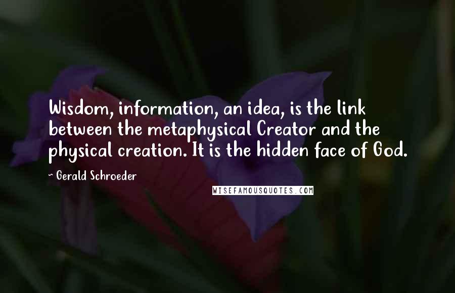 Gerald Schroeder Quotes: Wisdom, information, an idea, is the link between the metaphysical Creator and the physical creation. It is the hidden face of God.