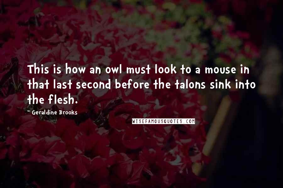 Geraldine Brooks Quotes: This is how an owl must look to a mouse in that last second before the talons sink into the flesh.