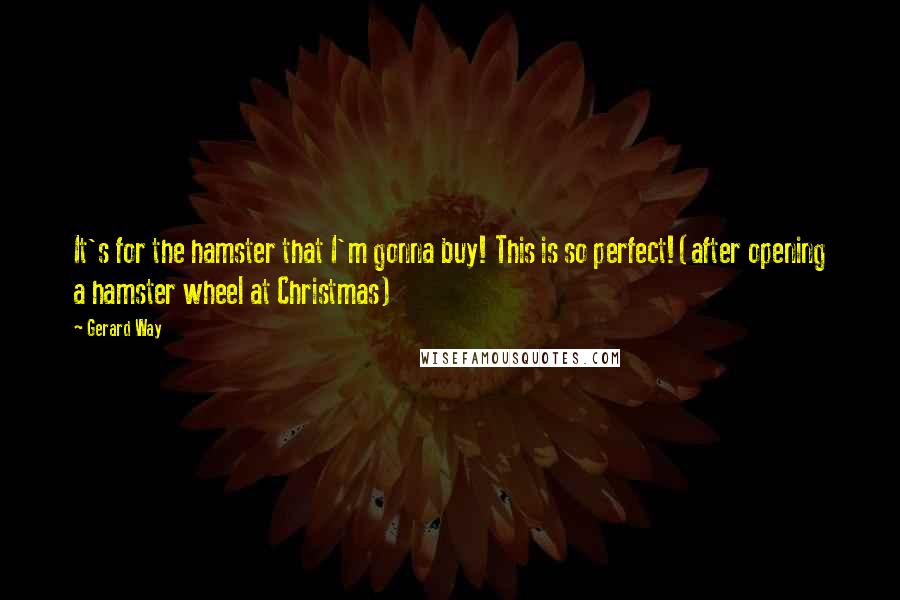 Gerard Way Quotes: It's for the hamster that I'm gonna buy! This is so perfect!(after opening a hamster wheel at Christmas)