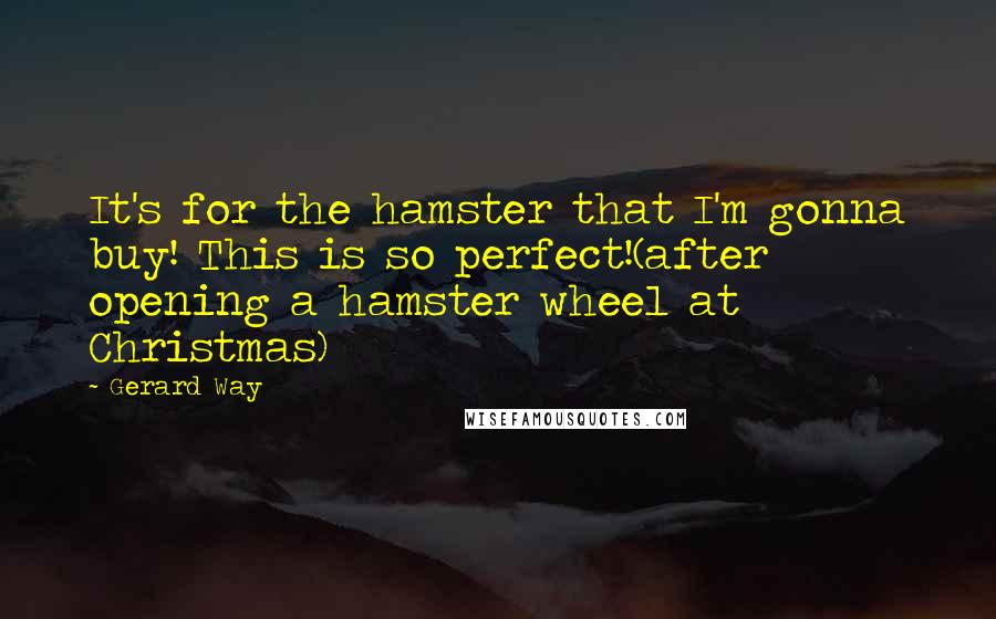 Gerard Way Quotes: It's for the hamster that I'm gonna buy! This is so perfect!(after opening a hamster wheel at Christmas)