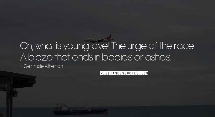 Gertrude Atherton Quotes: Oh, what is young love! The urge of the race. A blaze that ends in babies or ashes.