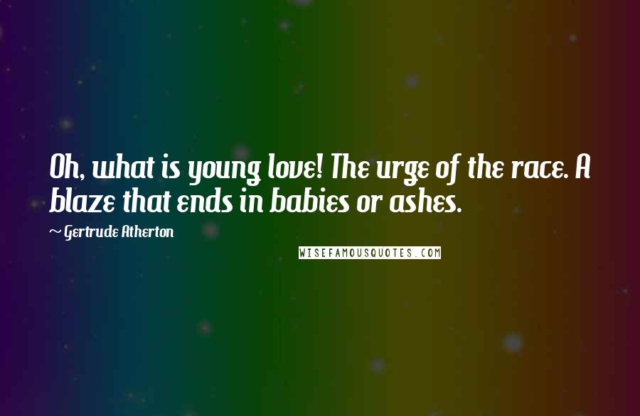 Gertrude Atherton Quotes: Oh, what is young love! The urge of the race. A blaze that ends in babies or ashes.