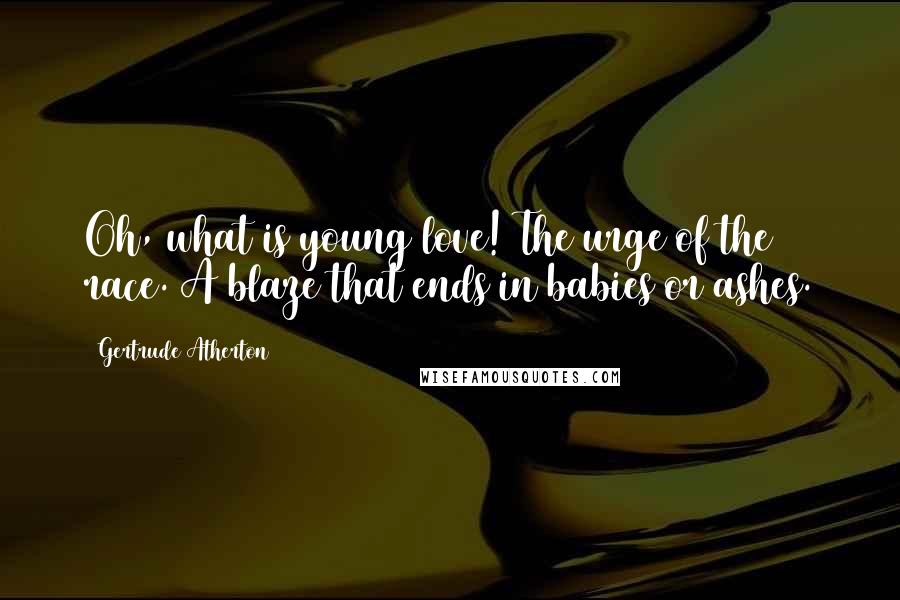 Gertrude Atherton Quotes: Oh, what is young love! The urge of the race. A blaze that ends in babies or ashes.