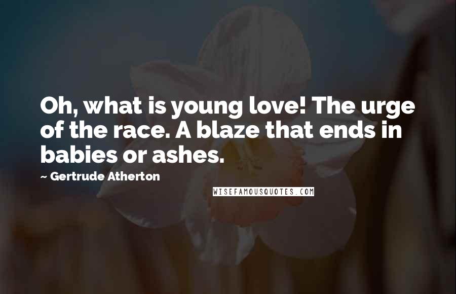 Gertrude Atherton Quotes: Oh, what is young love! The urge of the race. A blaze that ends in babies or ashes.