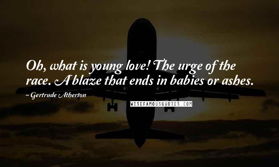 Gertrude Atherton Quotes: Oh, what is young love! The urge of the race. A blaze that ends in babies or ashes.