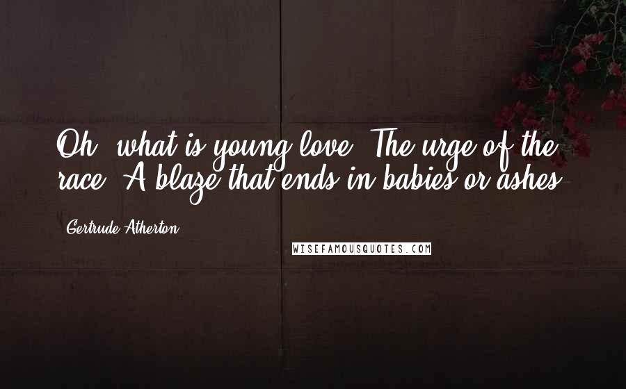 Gertrude Atherton Quotes: Oh, what is young love! The urge of the race. A blaze that ends in babies or ashes.