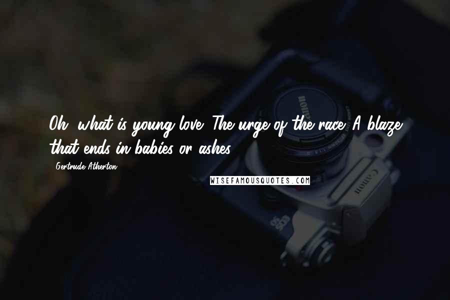 Gertrude Atherton Quotes: Oh, what is young love! The urge of the race. A blaze that ends in babies or ashes.