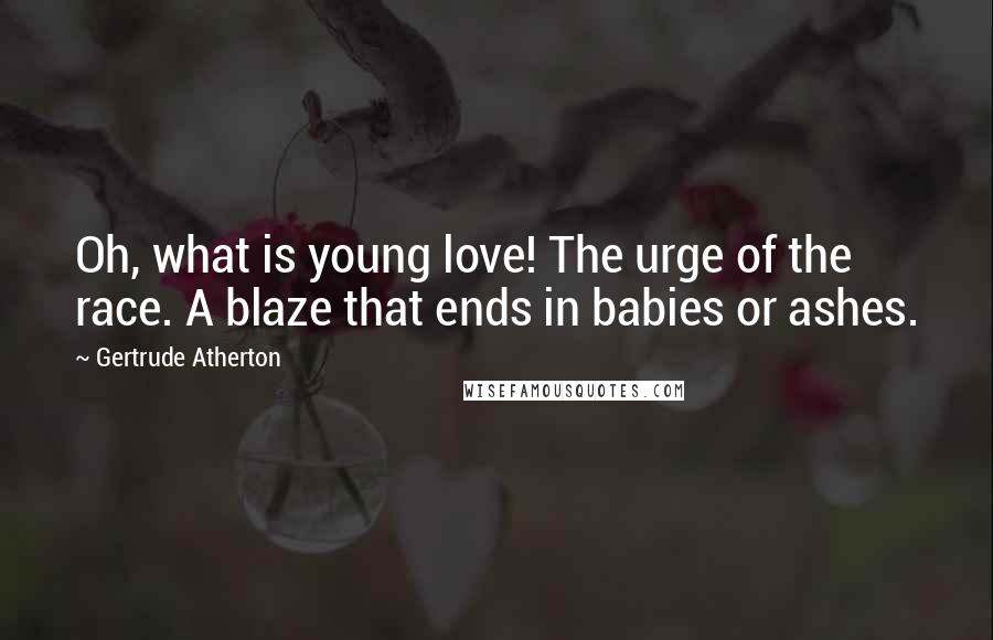 Gertrude Atherton Quotes: Oh, what is young love! The urge of the race. A blaze that ends in babies or ashes.
