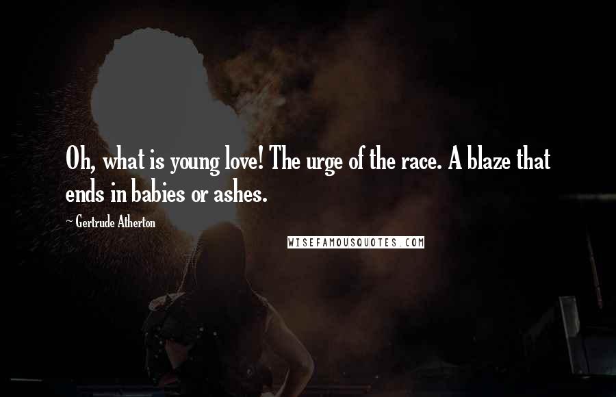 Gertrude Atherton Quotes: Oh, what is young love! The urge of the race. A blaze that ends in babies or ashes.