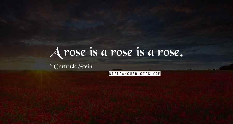 Gertrude Stein Quotes: A rose is a rose is a rose.