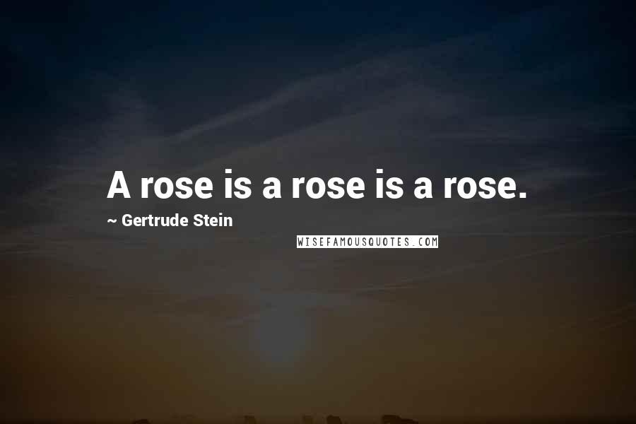 Gertrude Stein Quotes: A rose is a rose is a rose.