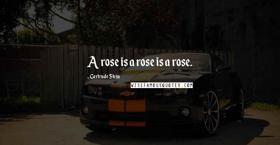 Gertrude Stein Quotes: A rose is a rose is a rose.