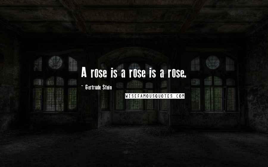 Gertrude Stein Quotes: A rose is a rose is a rose.