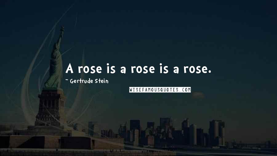 Gertrude Stein Quotes: A rose is a rose is a rose.